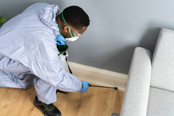 Professional Pest Control in Hahnville, LA